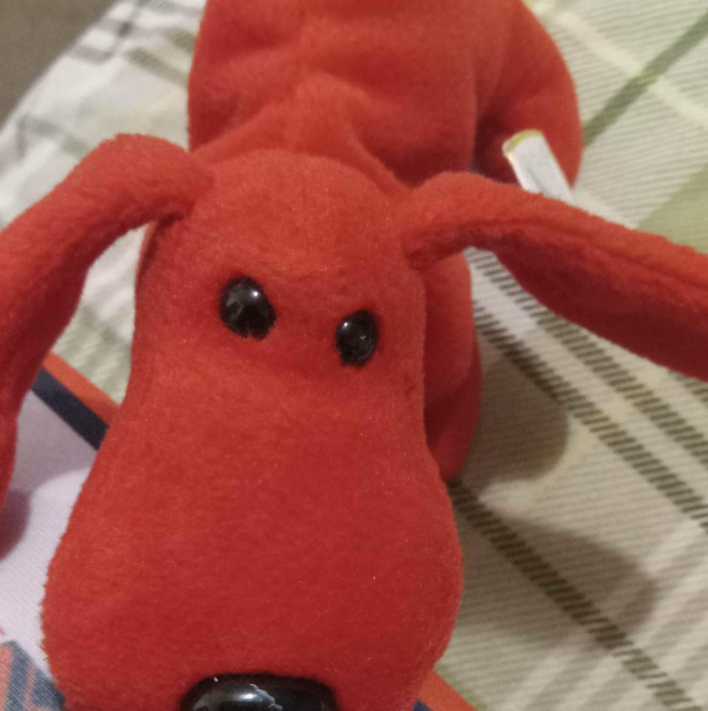 Rover the Red Dog ty beanie baby